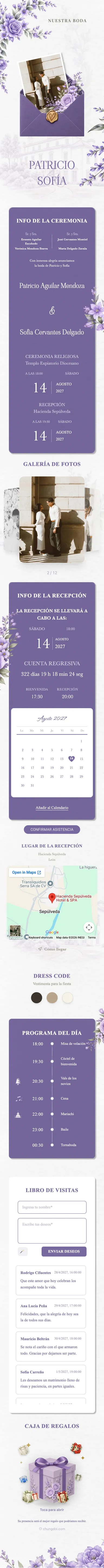 Minimalism - Purple