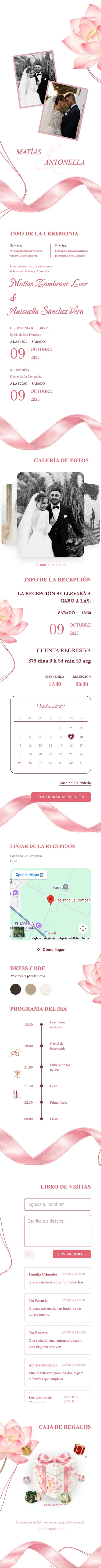 Silk Ribbon - Pink