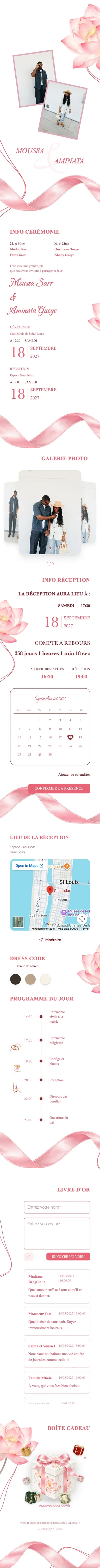 Silk Ribbon - Pink